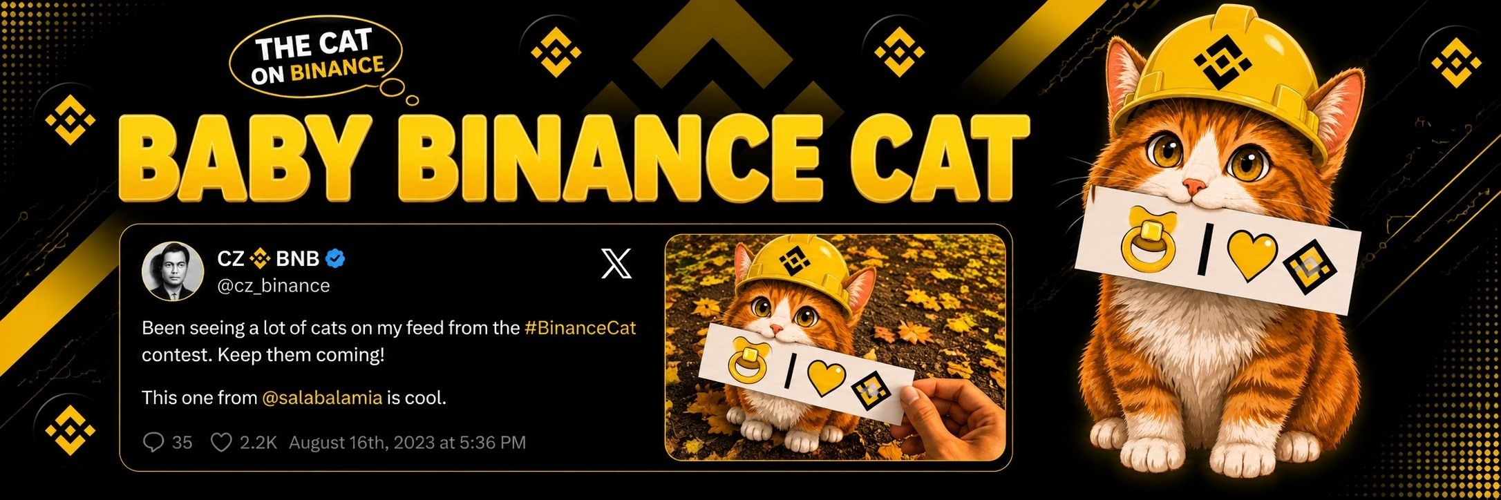 Baby Binance Cat campaign banner